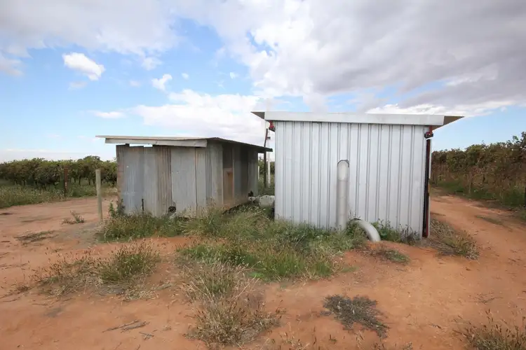 Fifth view of Homely rural property listing, 81 Wells Road, Merbein VIC 3505