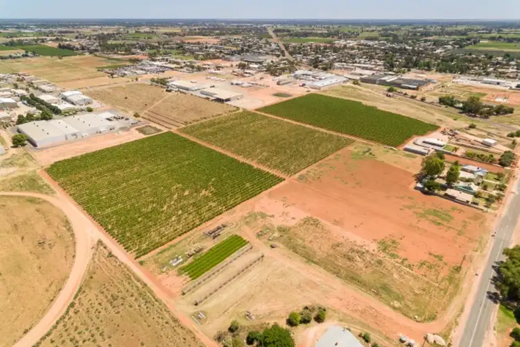 Main view of Homely rural property listing, 905 - 923 Irymple Avenue, Irymple VIC 3498
