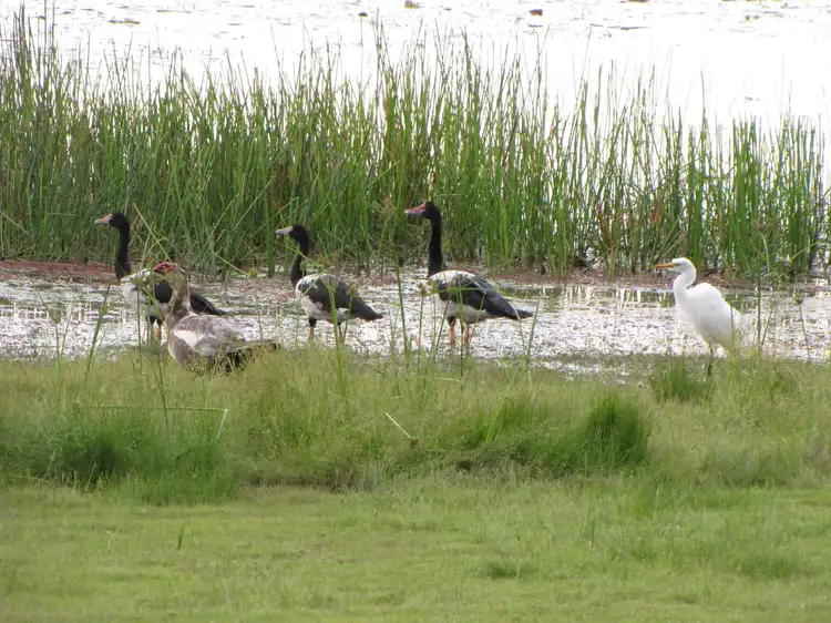 Seventh view of Homely house listing, 65 Chinner Road, Lake Bennett NT 822