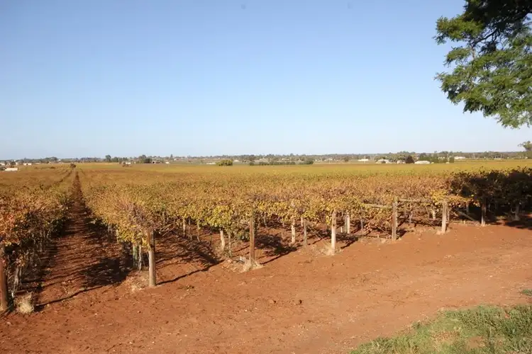 Seventh view of Homely rural property listing, 93 Little Cowra Avenue, Yelta VIC 3505