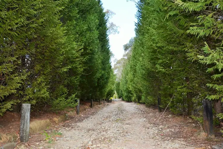 Second view of Homely house listing, 47 Valley View Road, Dargan NSW 2786