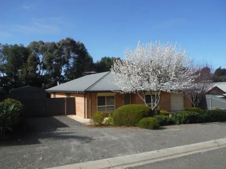 Main view of Homely house listing, 50 Hogan Street, Kapunda SA 5373