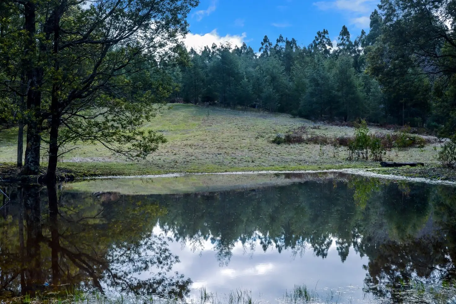 Main view of Homely rural property listing, 195 Mt Bride Road, Three Bridges VIC 3797