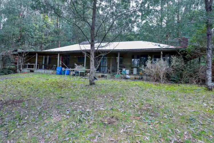 Third view of Homely rural property listing, 195 Mt Bride Road, Three Bridges VIC 3797