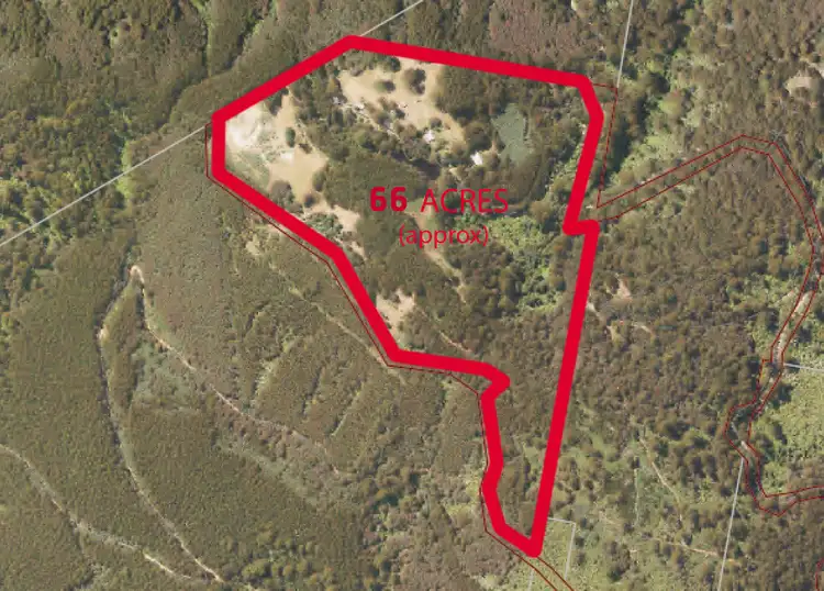 Fifth view of Homely rural property listing, 195 Mt Bride Road, Three Bridges VIC 3797