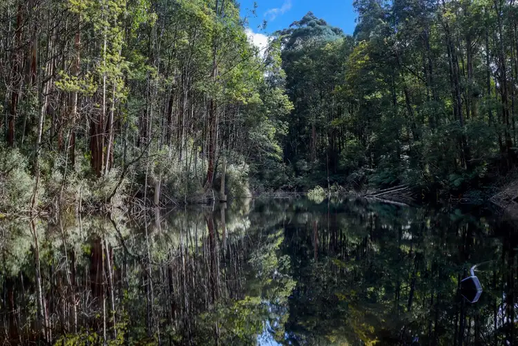 Sixth view of Homely rural property listing, 195 Mt Bride Road, Three Bridges VIC 3797