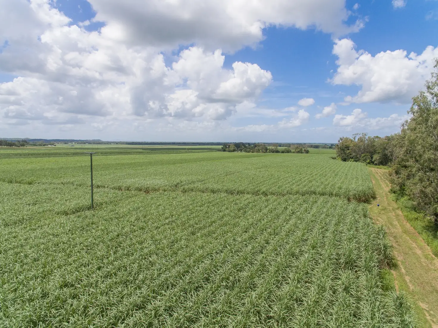 Main view of Homely rural property listing, Lot 7 Sarina Homebush Road, Sunnyside QLD 4737
