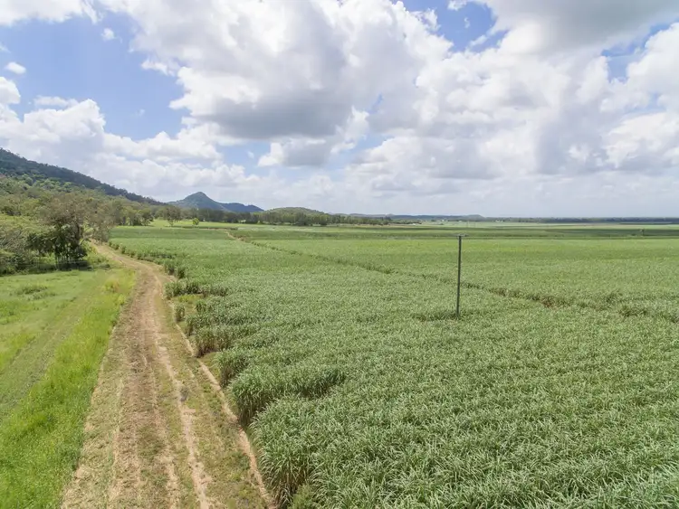 Second view of Homely rural property listing, Lot 7 Sarina Homebush Road, Sunnyside QLD 4737
