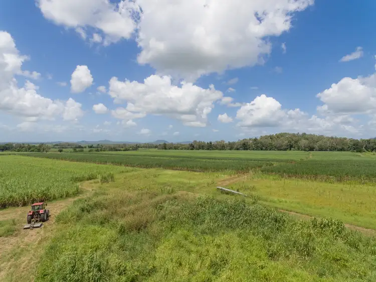 Fifth view of Homely rural property listing, Lot 7 Sarina Homebush Road, Sunnyside QLD 4737