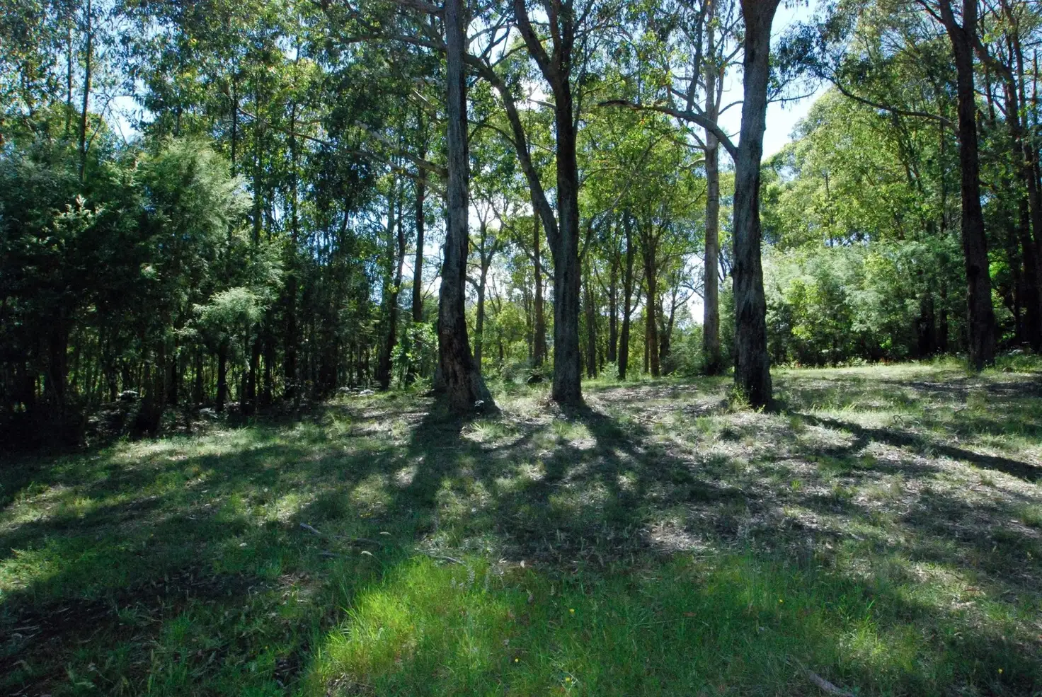 Main view of Homely land listing, 2 (Lot CP 160043P) Hillcrest Drive, Mcmahons Creek VIC 3799
