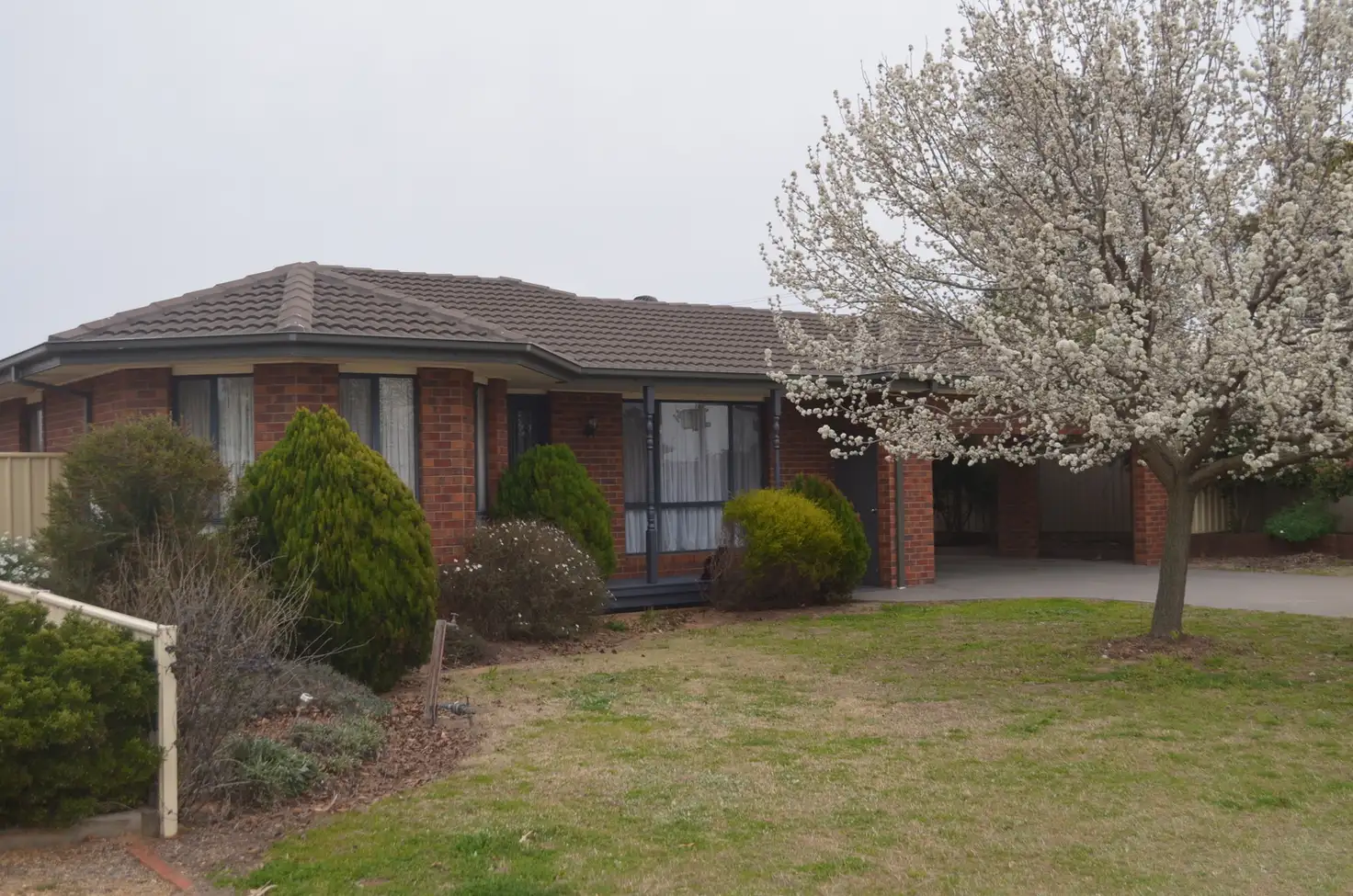 Main view of Homely house listing, 8 Harding Court, Numurkah VIC 3636