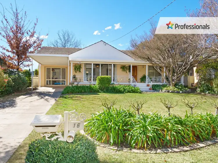 Main view of Homely house listing, 16 Waratah Street, Kooringal NSW 2650