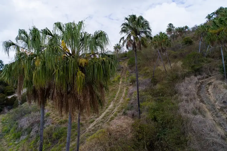 Seventh view of Homely land listing, 39 Ridgewood Drive, Farleigh QLD 4741