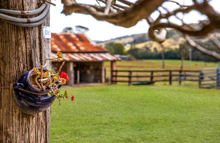 Fourth view of Homely rural property listing, 31 Johnsons Creek Road, Stroud Road NSW 2415