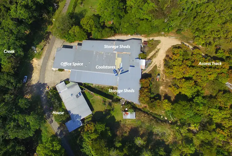 Second view of Homely rural property listing, 731 Left Bank Road, Mullumbimby Creek NSW 2482