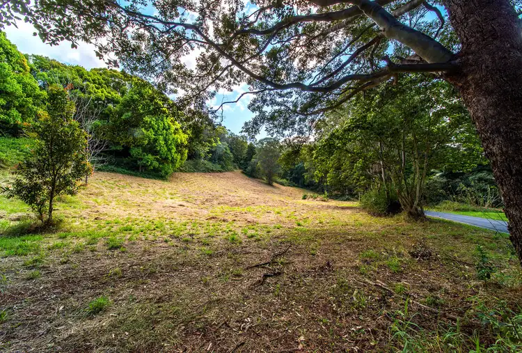 Fifth view of Homely rural property listing, 954A The Pocket Road, The Pocket NSW 2483