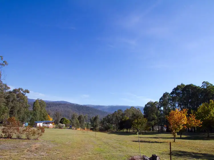 Second view of Homely rural property listing, 1556 Maroondah Highway, Buxton VIC 3711