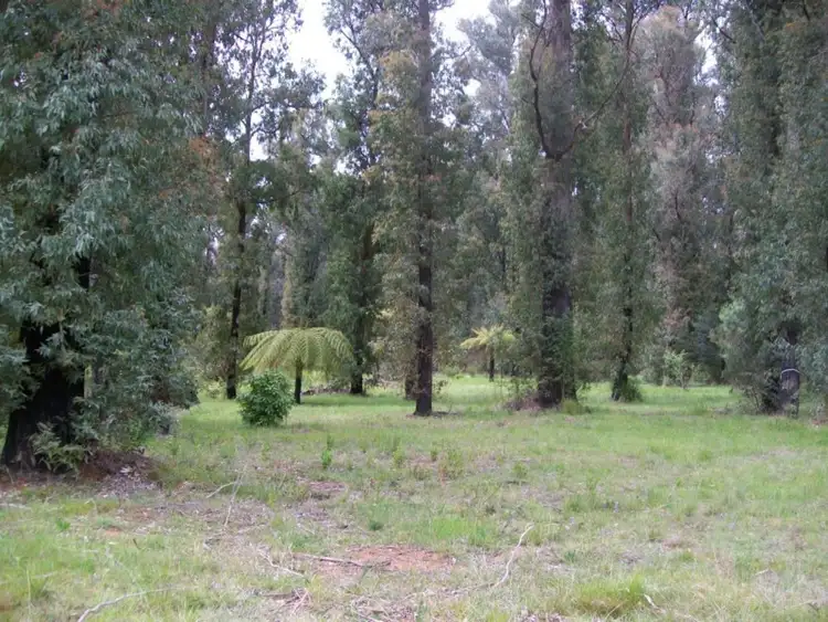 Second view of Homely land listing, 12 Lady Talbot Drive, Marysville VIC 3779