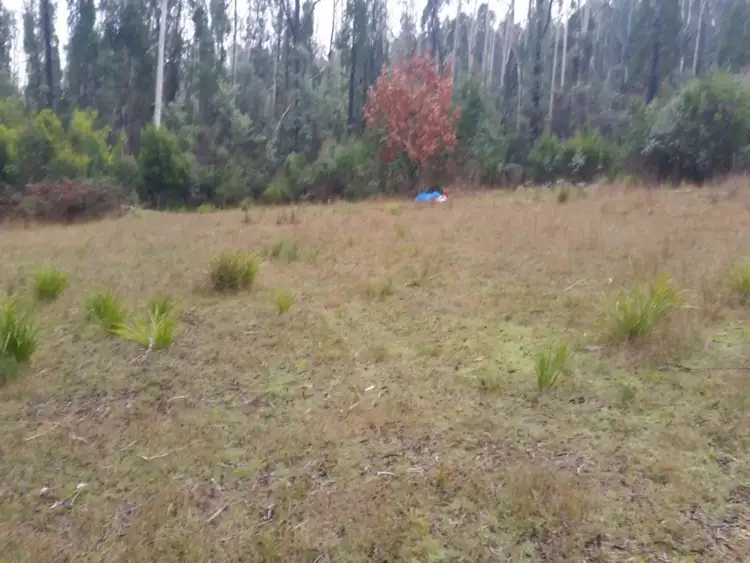 Sixth view of Homely land listing, 1 North Creek Road, Narbethong VIC 3778