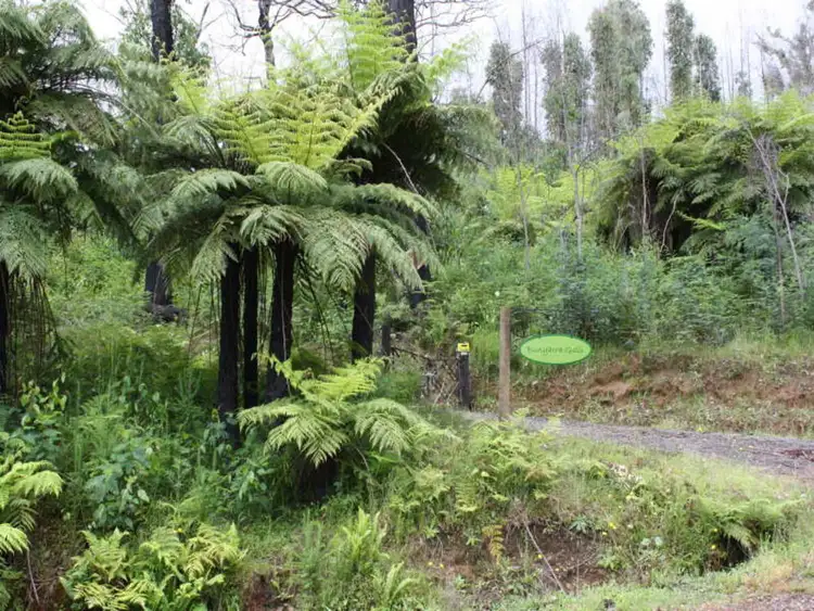 121 Eagles Nest Road, Marysville VIC 3779