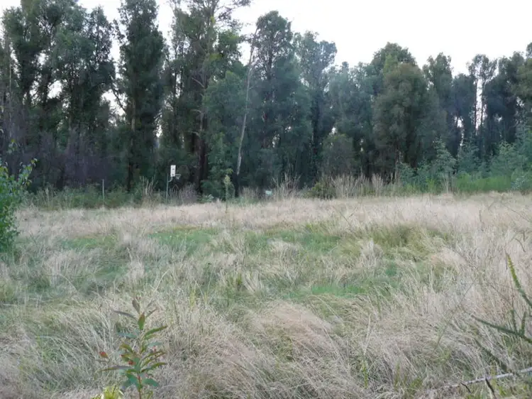 Second view of Homely land listing, 946 Maroondah Highway, Narbethong VIC 3778