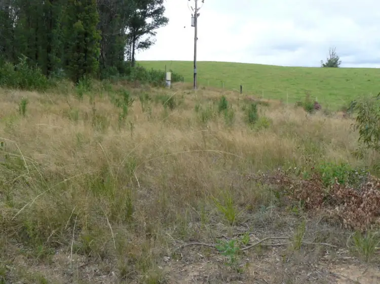 Fifth view of Homely land listing, 946 Maroondah Highway, Narbethong VIC 3778