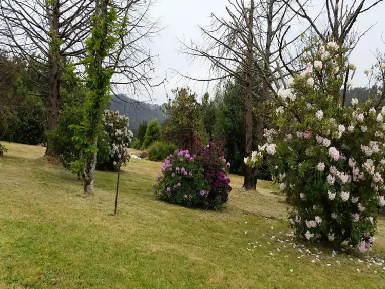 Fourth view of Homely land listing, 4 Barton Avenue, Marysville VIC 3779