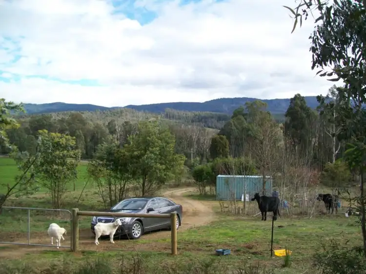 Main view of Homely land listing, 946 Maroondah Highway, Narbethong VIC 3778
