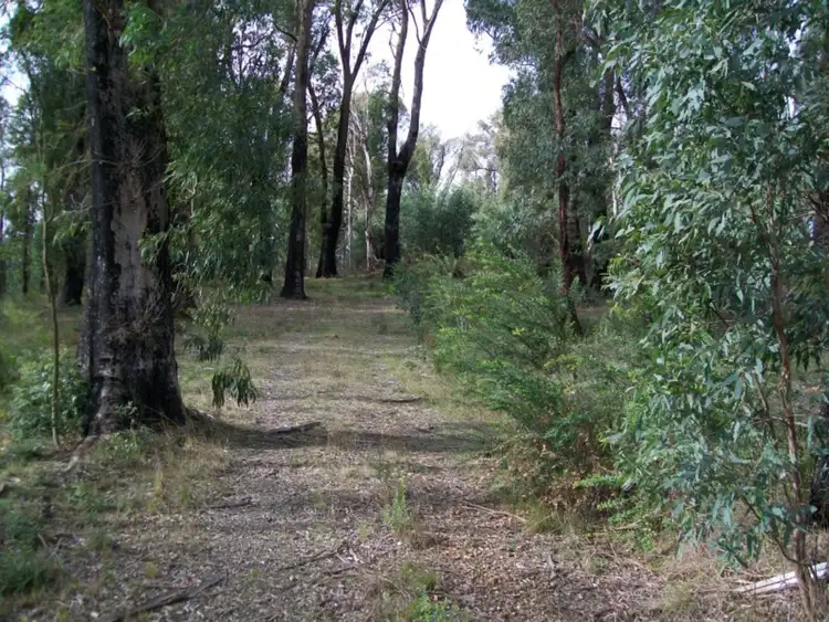 Sixth view of Homely land listing, 946 Maroondah Highway, Narbethong VIC 3778