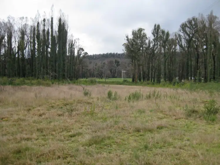 Main view of Homely rural property listing, 990 Maroondah Highway, Narbethong VIC 3778