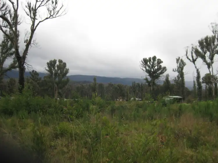 Second view of Homely rural property listing, 990 Maroondah Highway, Narbethong VIC 3778