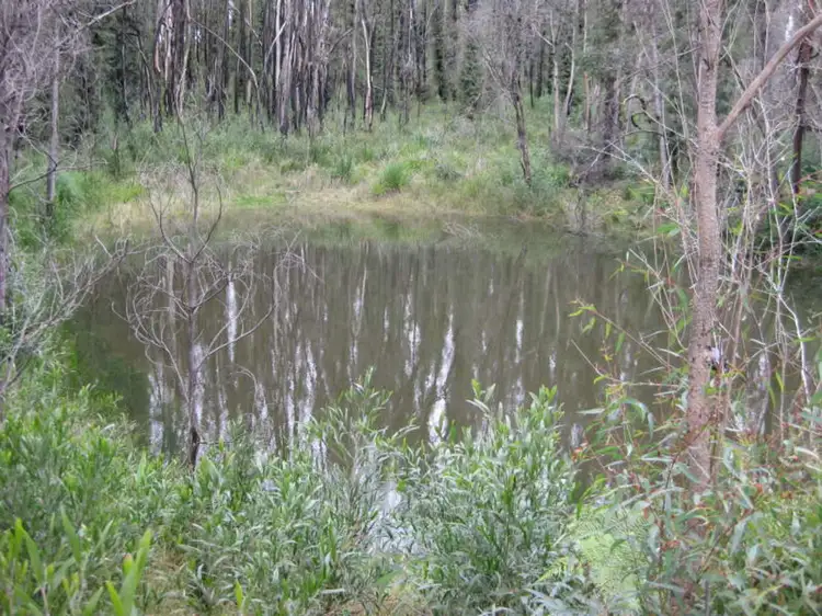 Third view of Homely rural property listing, 990 Maroondah Highway, Narbethong VIC 3778