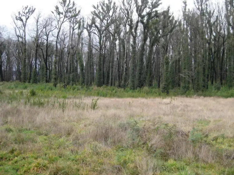 Fifth view of Homely rural property listing, 990 Maroondah Highway, Narbethong VIC 3778