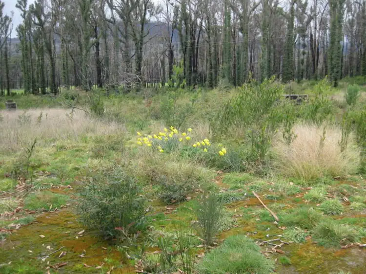 Sixth view of Homely rural property listing, 990 Maroondah Highway, Narbethong VIC 3778