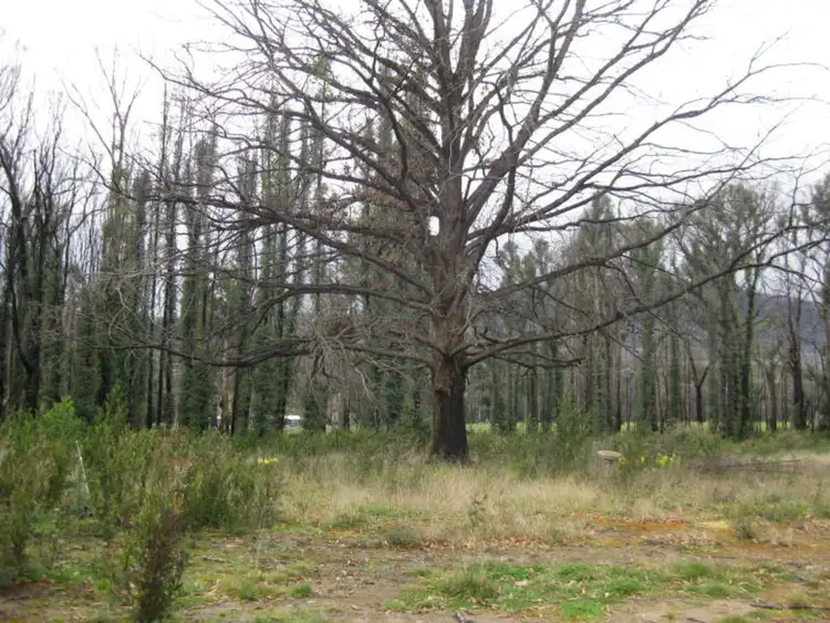 Seventh view of Homely rural property listing, 990 Maroondah Highway, Narbethong VIC 3778