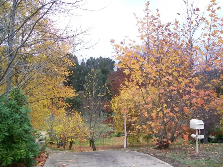 3 Keppels Court, Marysville VIC 3779