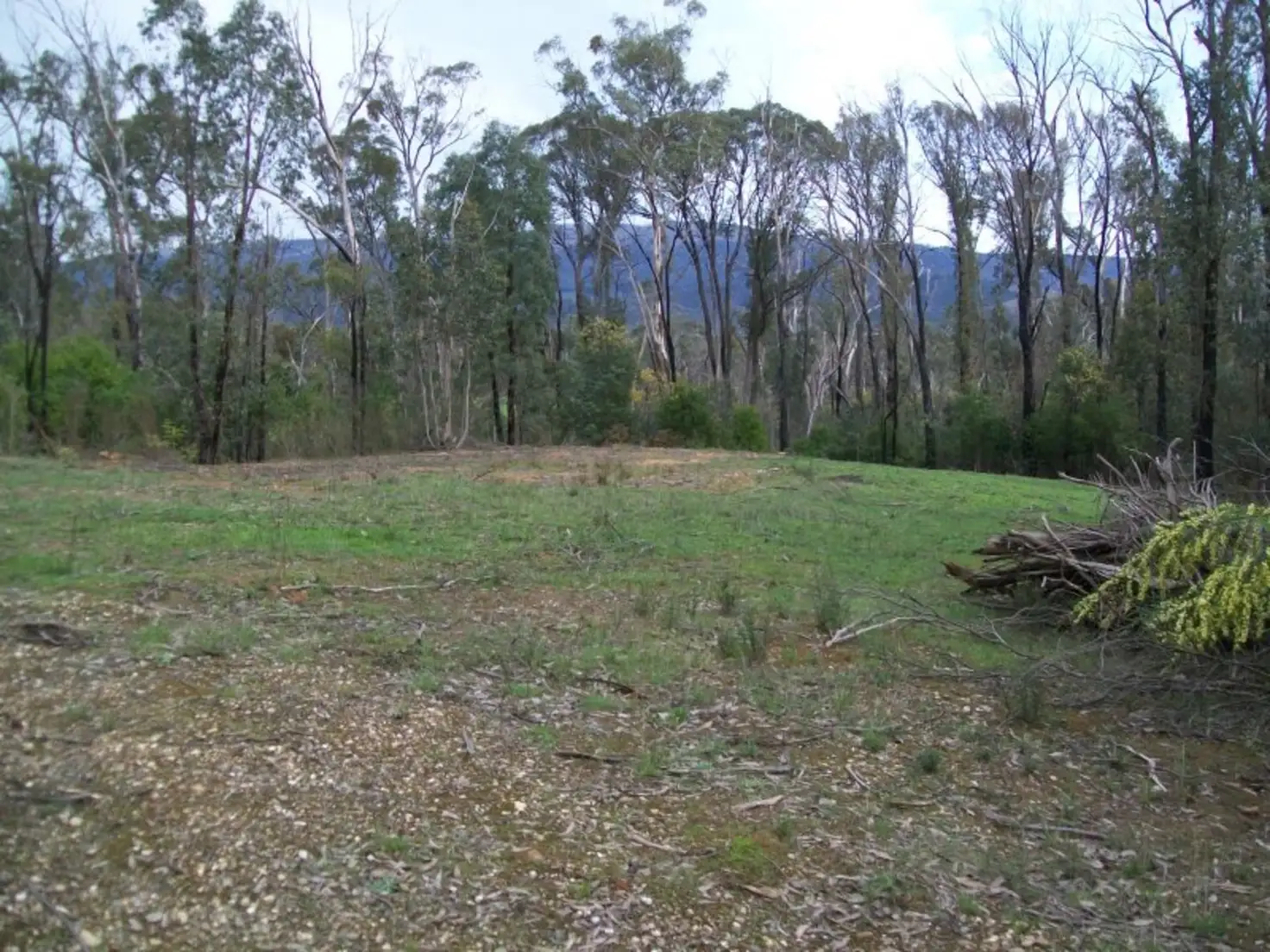Main view of Homely land listing, 232 South Cathedral Lane, Buxton VIC 3711