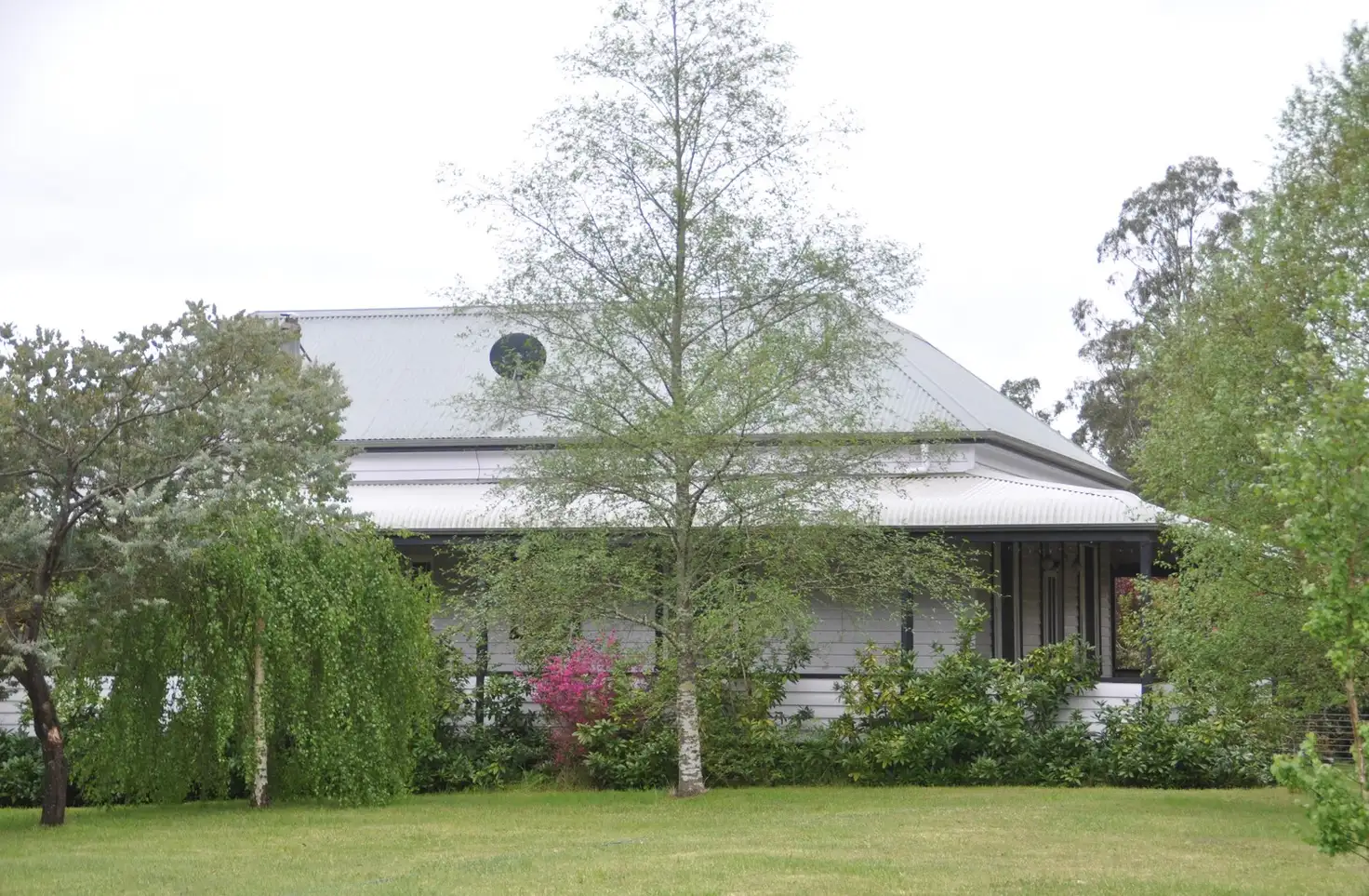 Main view of Homely rural property listing, 176 Marysville Road, Marysville VIC 3779