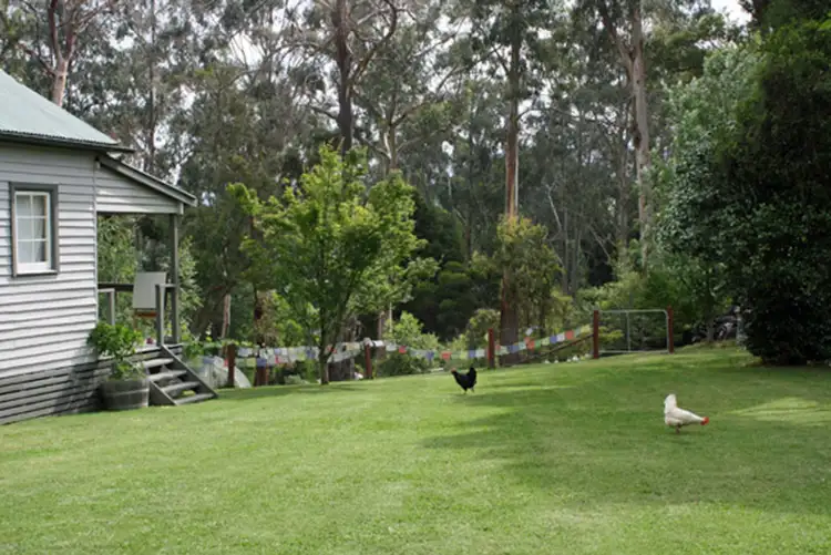 Main view of Homely house listing, 2213 Maroondah Highway, Buxton VIC 3711