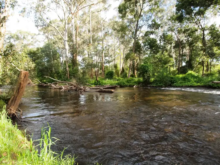 Second view of Homely house listing, 2191 Maroondah Highway, Buxton VIC 3711