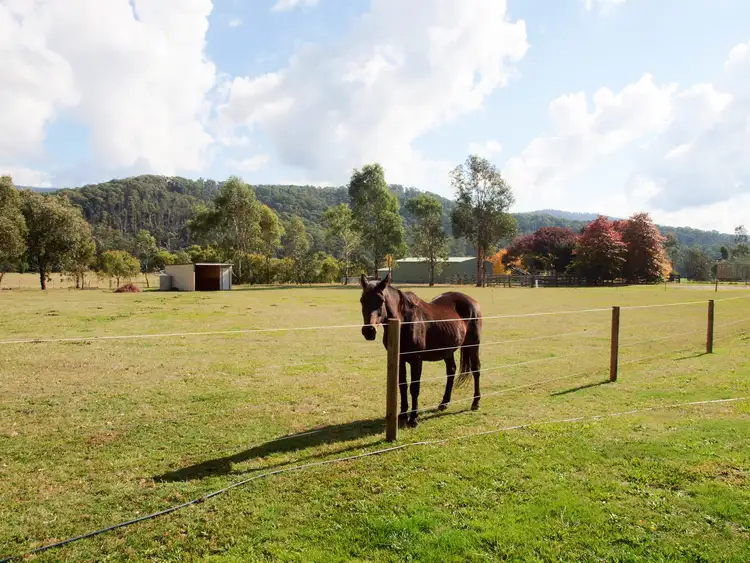 Third view of Homely rural property listing, 23 Patagorang Place, Buxton VIC 3711