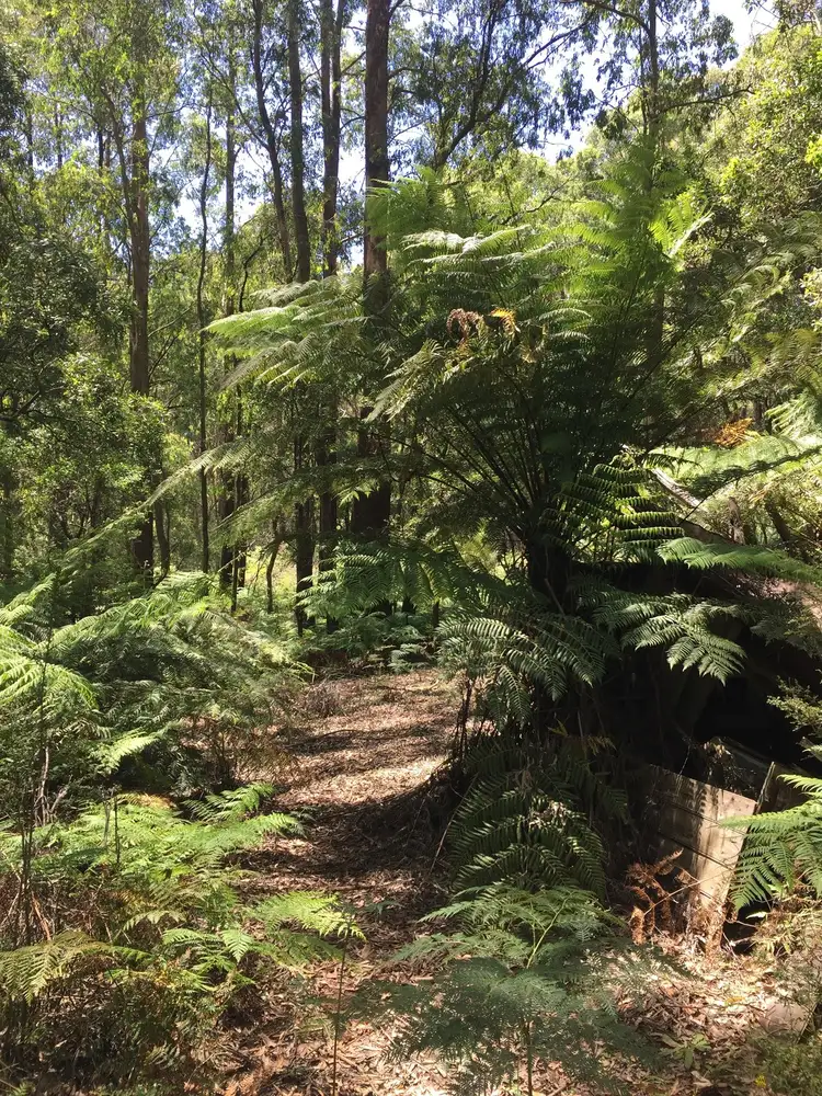 Main view of Homely land listing, 129 Manby Road, Narbethong VIC 3778