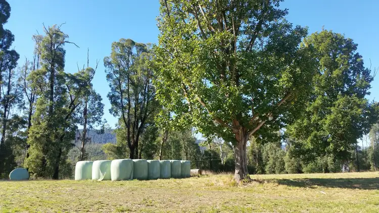 Second view of Homely rural property listing, 990 Maroondah Highway, Narbethong VIC 3778