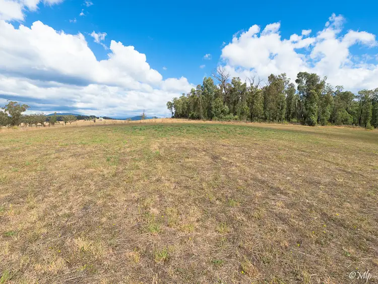 Fifth view of Homely rural property listing, 990 Maroondah Highway, Narbethong VIC 3778