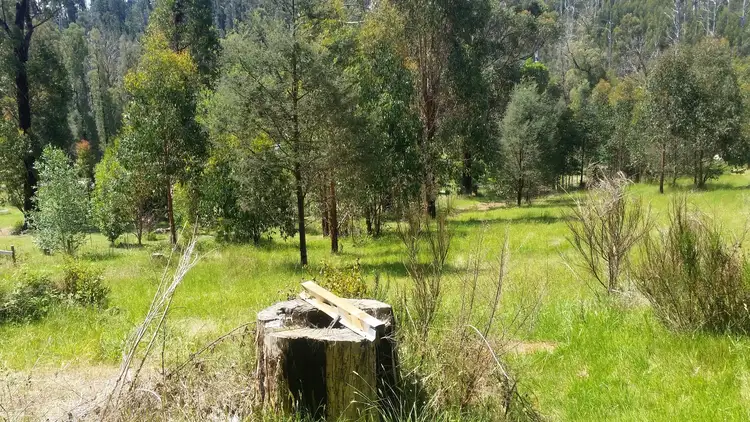 131 Falls Road, Marysville VIC 3779