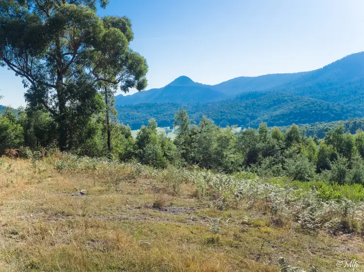 121 The Eagles Nest Road, Marysville VIC 3779