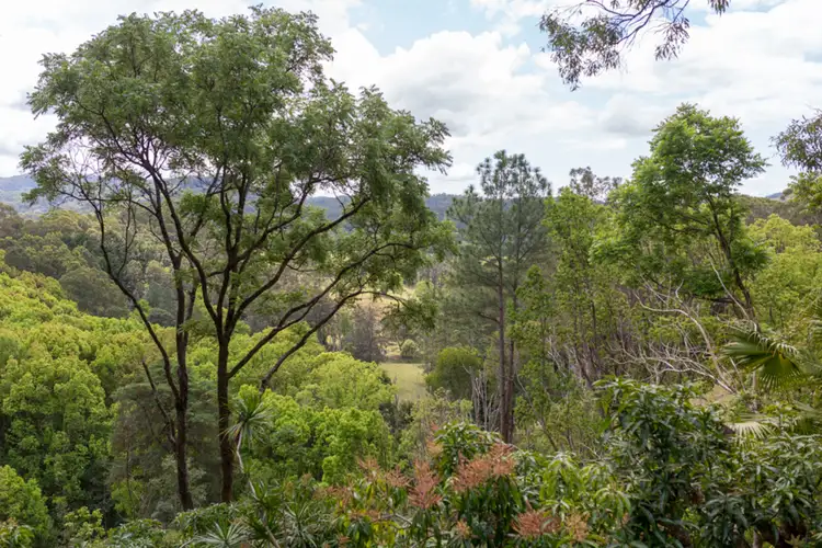 Main view of Homely rural property listing, Lot/16 Coopers Lane South, Main Arm NSW 2482