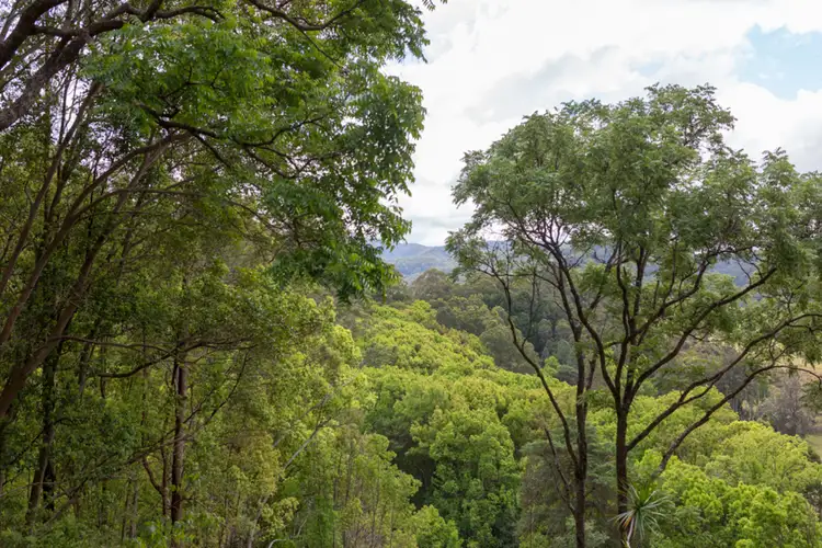 Fifth view of Homely rural property listing, Lot/16 Coopers Lane South, Main Arm NSW 2482