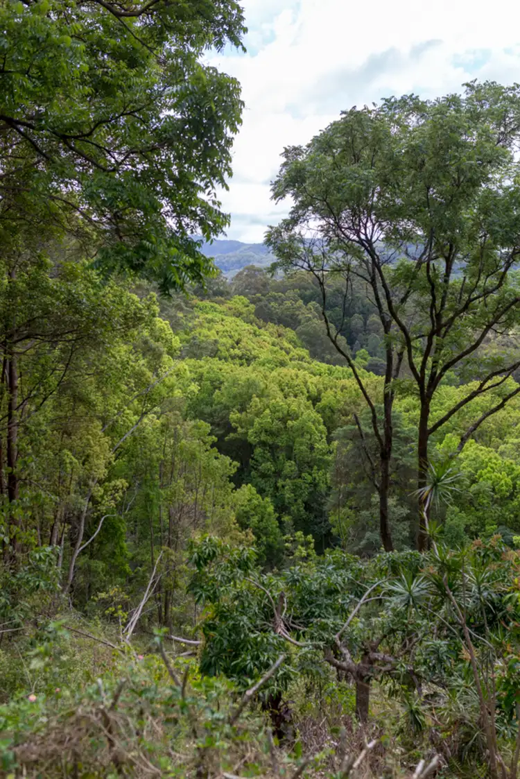 Sixth view of Homely rural property listing, Lot/16 Coopers Lane South, Main Arm NSW 2482