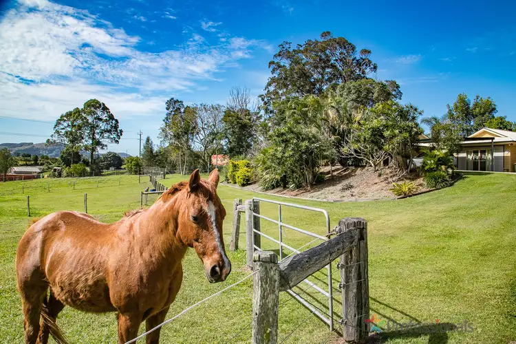 48 Hazelwood Drive, Pottsville NSW 2489